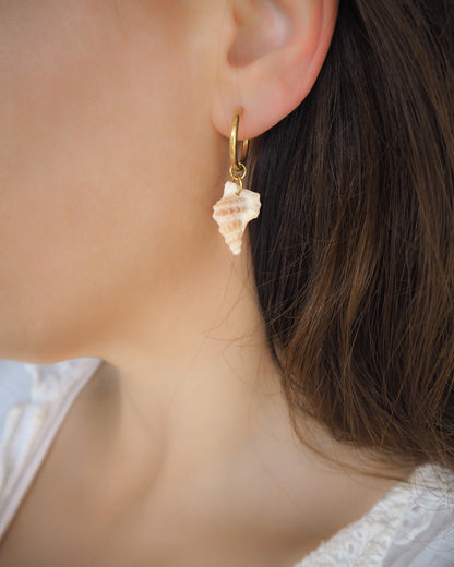 Pelicans Foot Shell Gold Earring Hoops in ear model, handpicked white pelican foot shells from Portugal, 18k gold stainless steel shell earring hoops, seabylou 