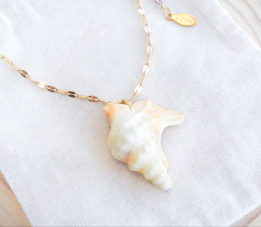 Gold Pelican Foot Shell Deluxe Necklace from Portugal on display