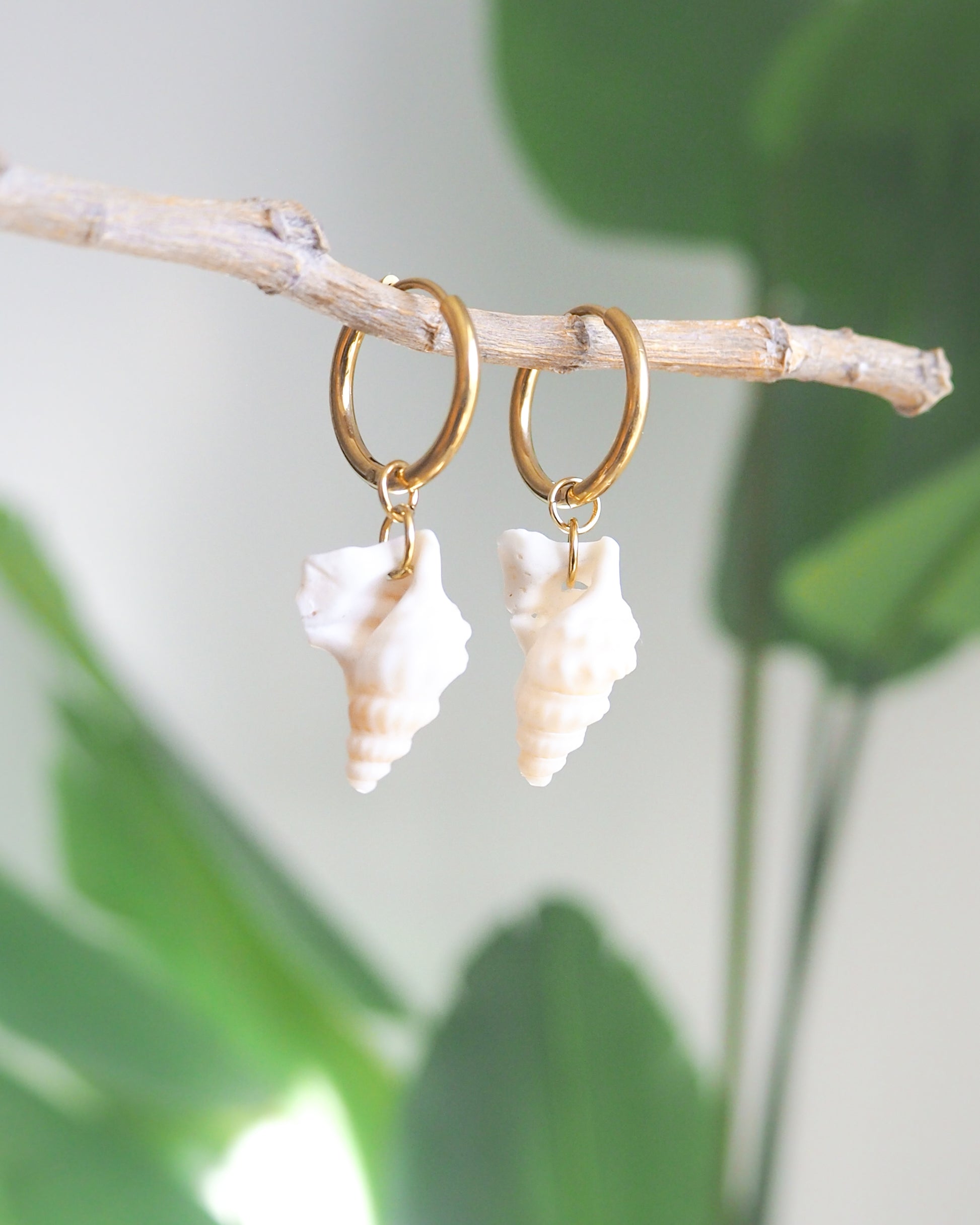 Gold Pelicans Foot Shell Earrings with green plant background, handpicked white pelican foot shells from Portugal, 18k gold stainless steel shell earring hoops, seabylou 