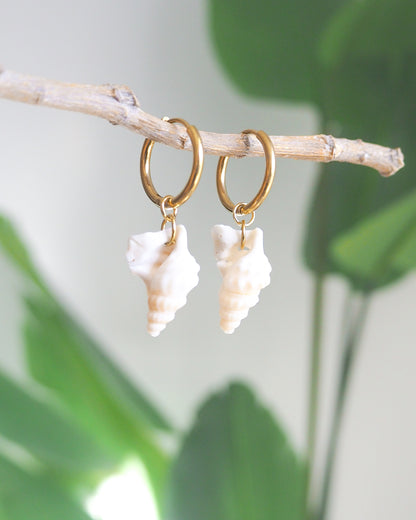 Gold Pelicans Foot Shell Earrings with green plant background, handpicked white pelican foot shells from Portugal, 18k gold stainless steel shell earring hoops, seabylou 