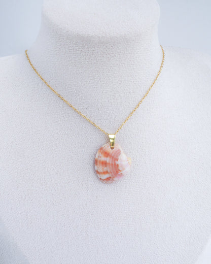 Pink Coral Venus Shell Gold Necklace on neck