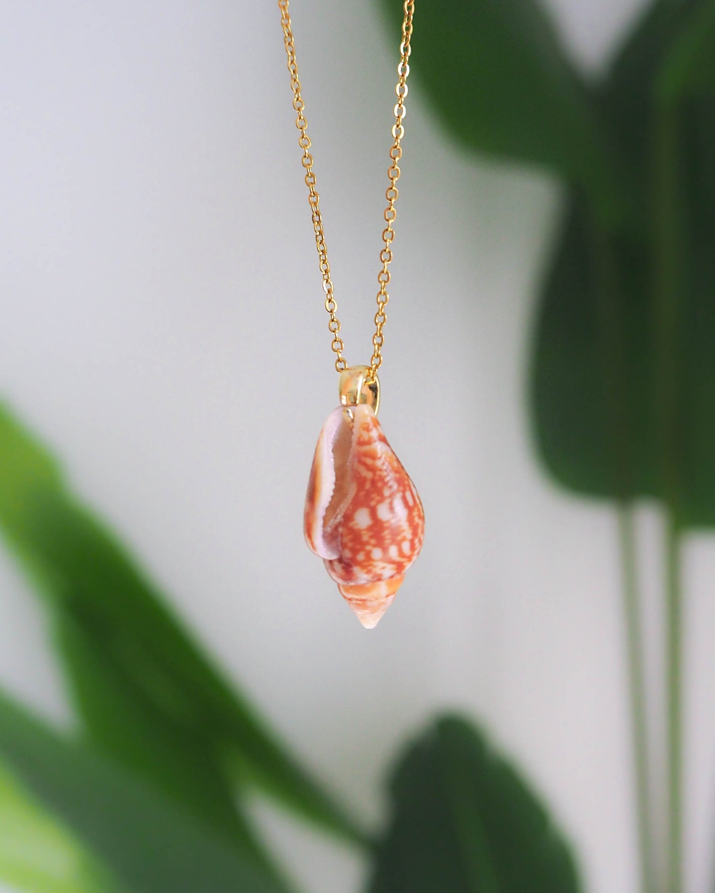 Close-up of Rustic Dove Shell Gold Necklace, Detailed view of the Rustic Dove Shell pendant from Portugal, Sea By Lou