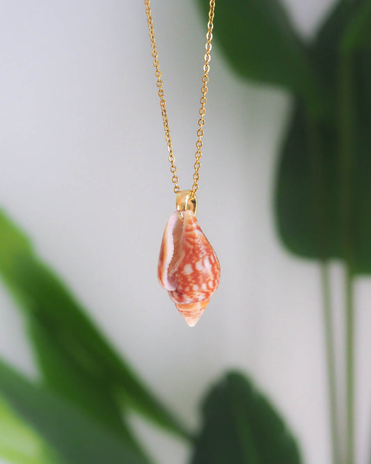 Close-up of Rustic Dove Shell Gold Necklace, Detailed view of the Rustic Dove Shell pendant from Portugal, Sea By Lou