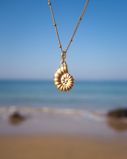 Nautilus Seashell Gold Necklace with ocean view background, Seabylou pendant on display