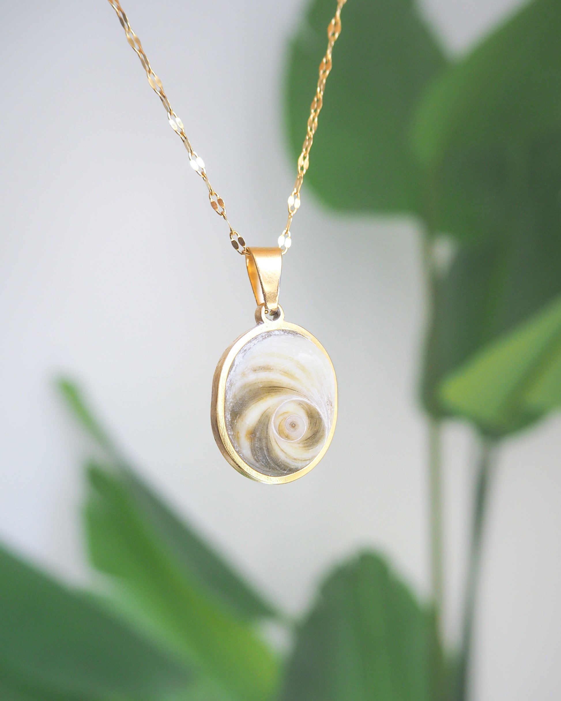 Soft Green Eye of Saint Lucia Gold Necklace on stone displayed, 18k gold stainless steel shiva eye pendant necklace, Saint Lucy Eye, operculum pendant