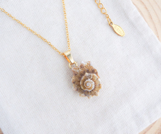 Star Shell Gold Necklace in display, Rough Star Shell from Portugal
