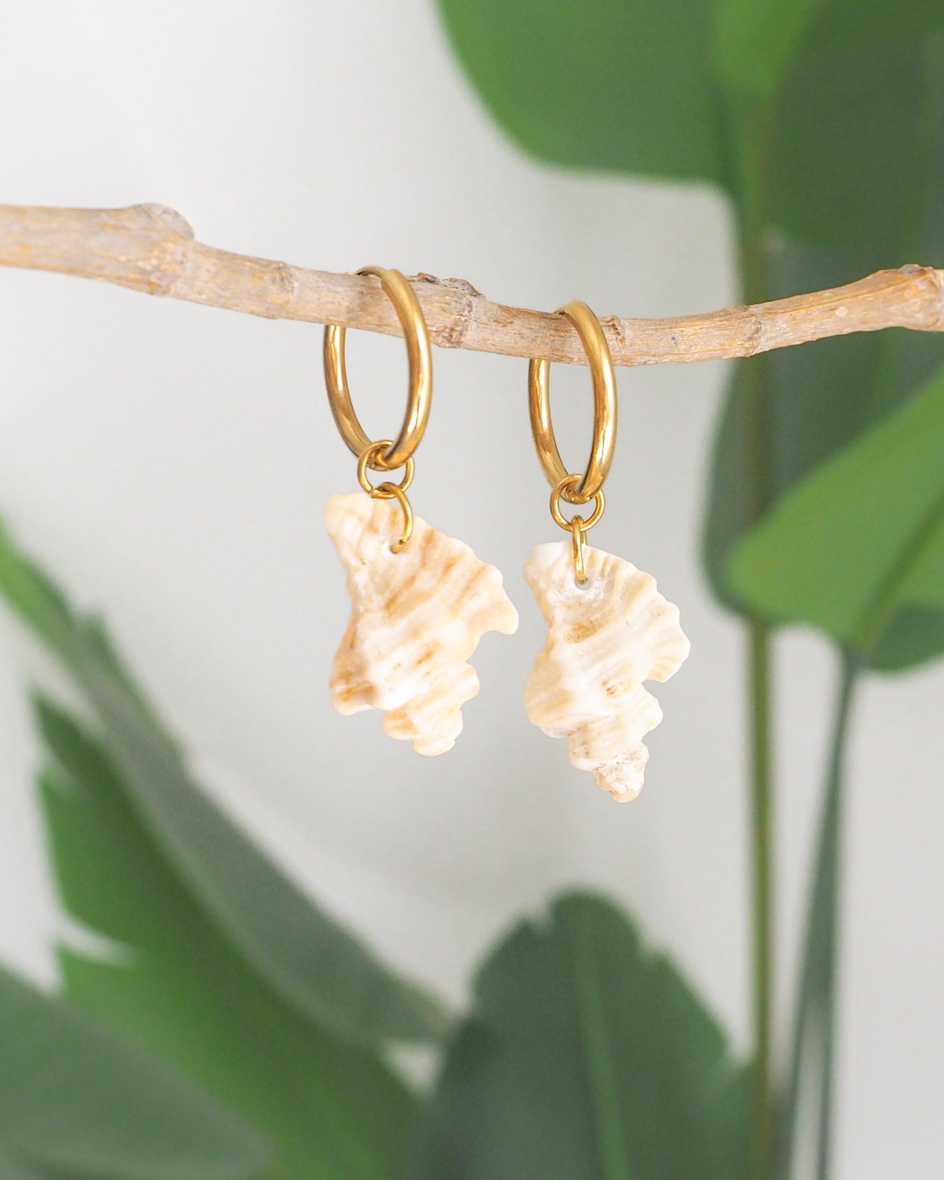 Sting Winkle Shell Hoop 20mm Gold Earrings from Portugal on display