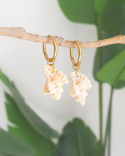 Sting Winkle Shell Hoop 20mm Gold Earrings from Portugal on display