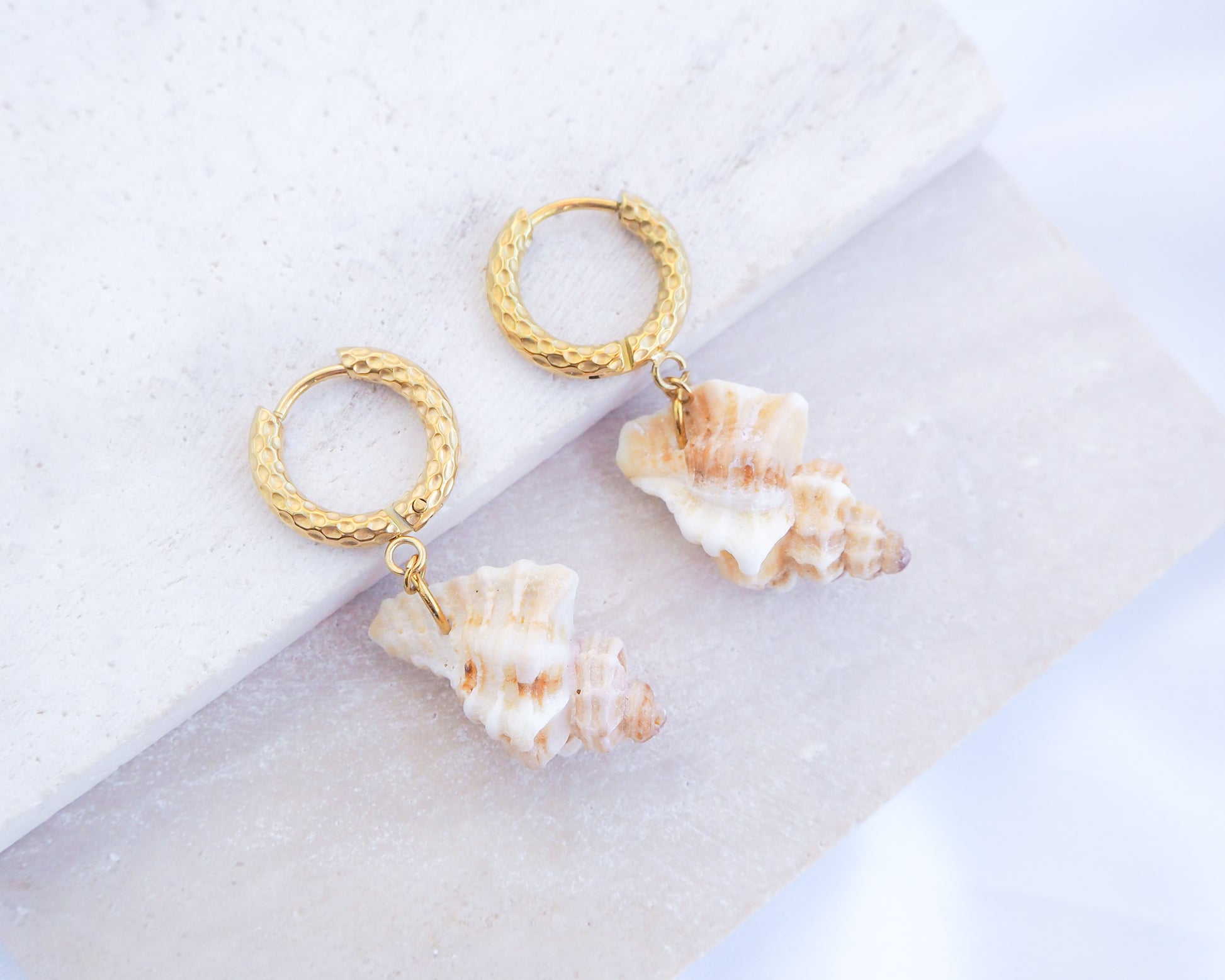 Gold Sting Winkle Shell Earrings from Portugal on display