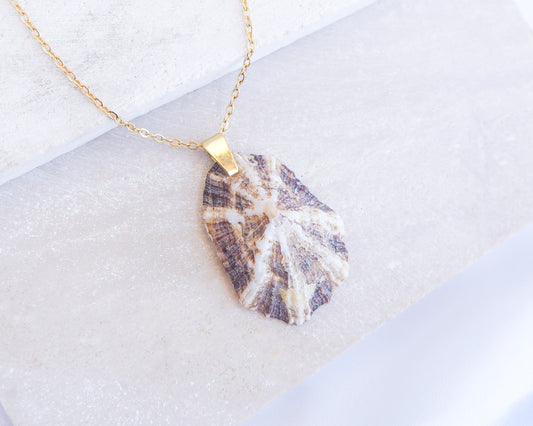 Close up of Striped Brown Mediterranean Limpet Shell Necklace displayed on stone close up, Limpet Shell from Portugal 