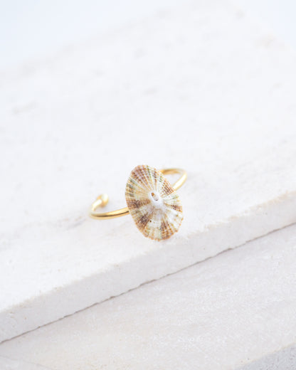 Side view of Striped Common Keyhole Limpet Shell Ring on display, Light Limpet Shell from Portugal set in a 18k gold stainless steel adjustable ring 