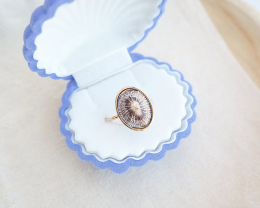 Striped Limpet Shell Gold Ring in white blue seashell jewelry box, Limpet Shell Bezel Ring, 18k gold stainless steel, handpicked limpet from the beach of Portugal, Striped False Limpet Shell