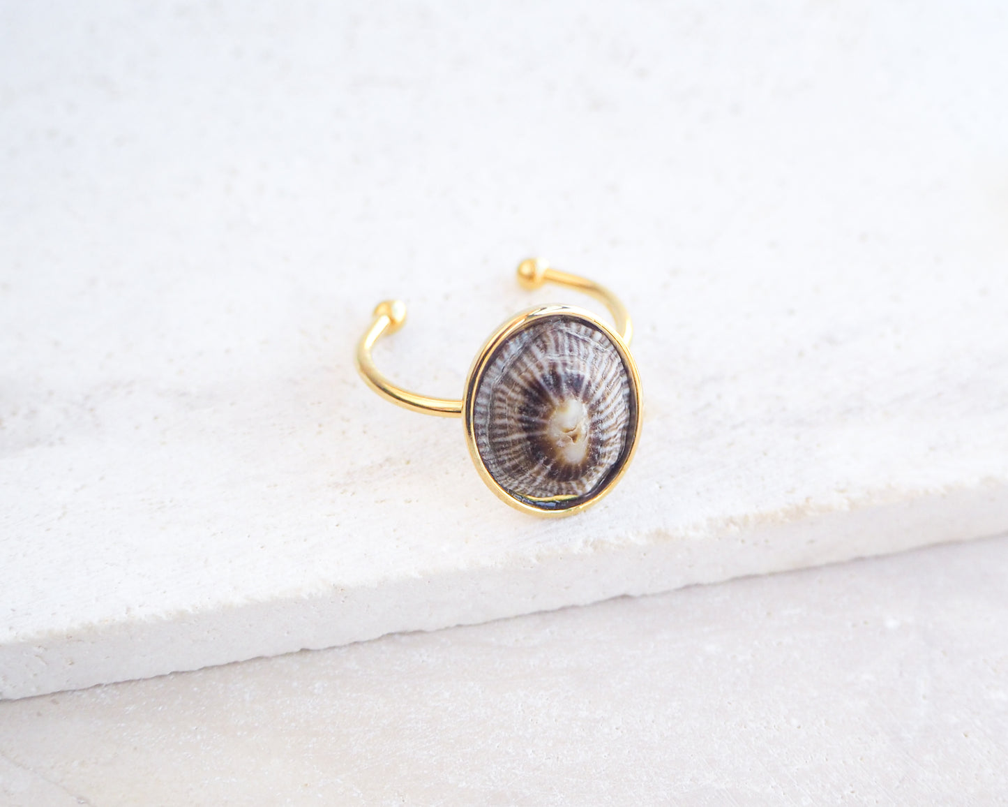 Side view of Gold Striped Limpet Shell Ring displayed on stone, Limpet Shell Bezel Ring, 18k gold stainless steel, handpicked limpet from the beach of Portugal, Striped False Limpet Shell
