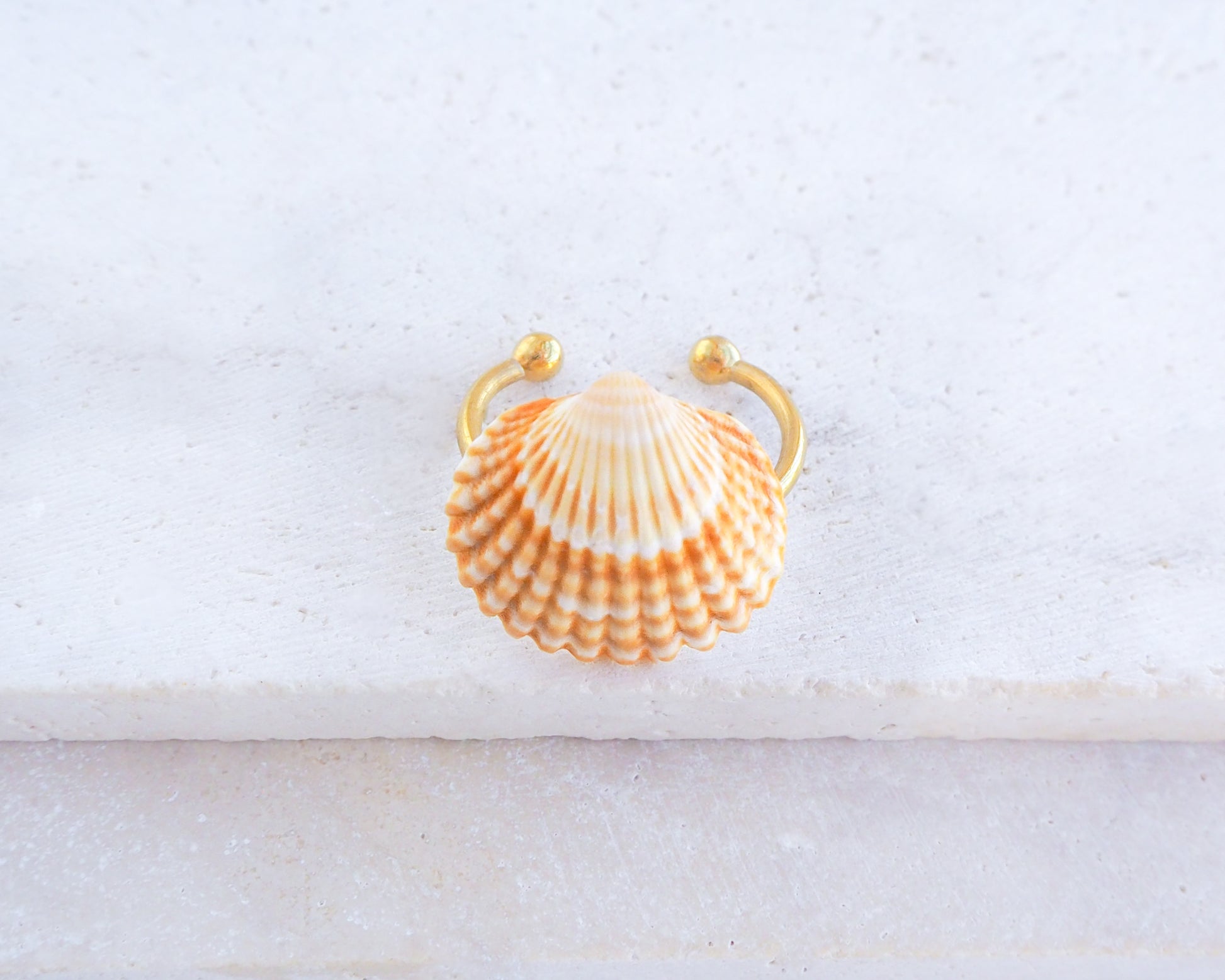 Tiny Sunny Mediterranean Cockle Shell Gold Ring in seashell box, Sunny Shell from Portugal, Summer Jewelry, Sea by Lou