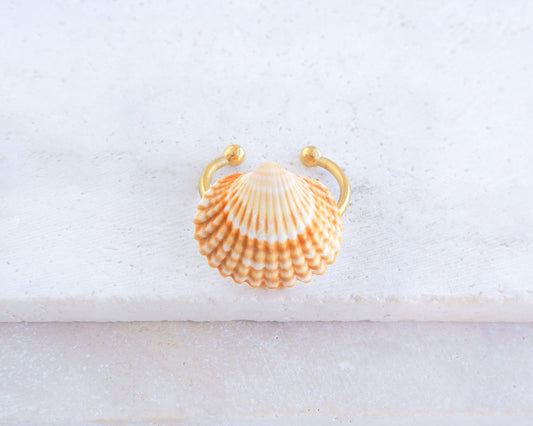 Tiny Sunny Mediterranean Cockle Shell Gold Ring in seashell box, Sunny Shell from Portugal, Summer Jewelry, Sea by Lou