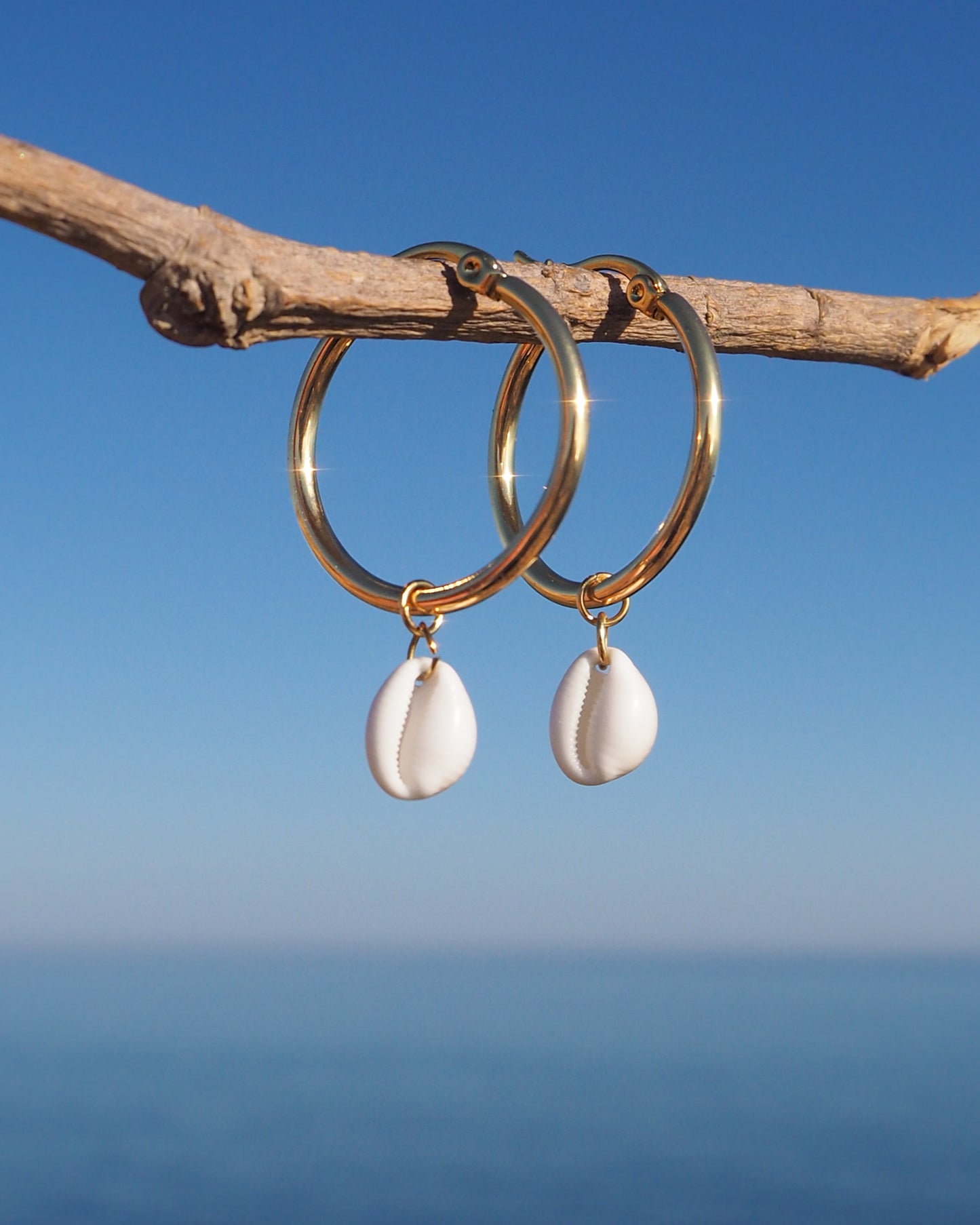Gold Tiny Cowrie Earrings with ocean background, handpicked trivia monacha shells from Portugal set on 14k gold stainless steel hoops