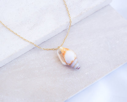 Tiny Light Rustic Dove Shell Gold Necklace displayed on stone back view, Dove Shell Necklace from Portugal, Real Shell Necklace, Sea by Lou