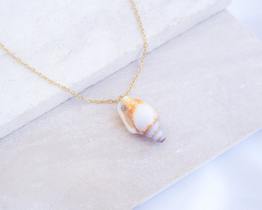 Tiny Light Rustic Dove Shell Gold Necklace displayed on stone back view, Dove Shell Necklace from Portugal, Real Shell Necklace, Sea by Lou