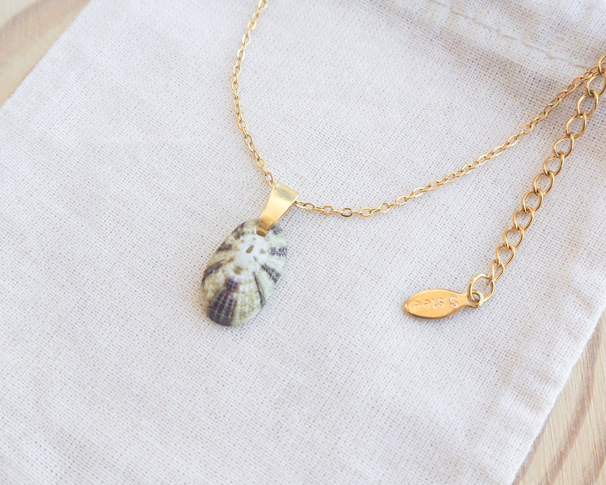 Close up side view of Tiny Green Common Keyhole Limpet Shell Gold Necklace on display 