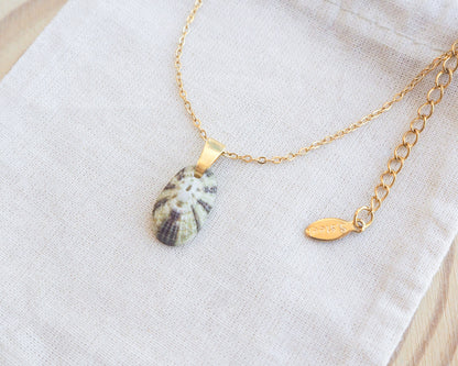 Close up side view of Tiny Green Common Keyhole Limpet Shell Gold Necklace on display 