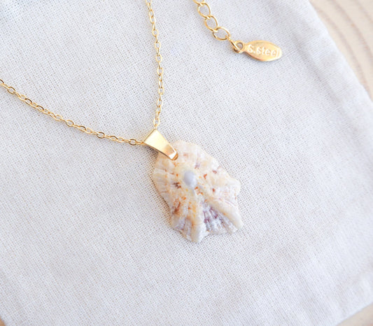 Gold Tiny Light Limpet Shell Necklace from Portugal on display