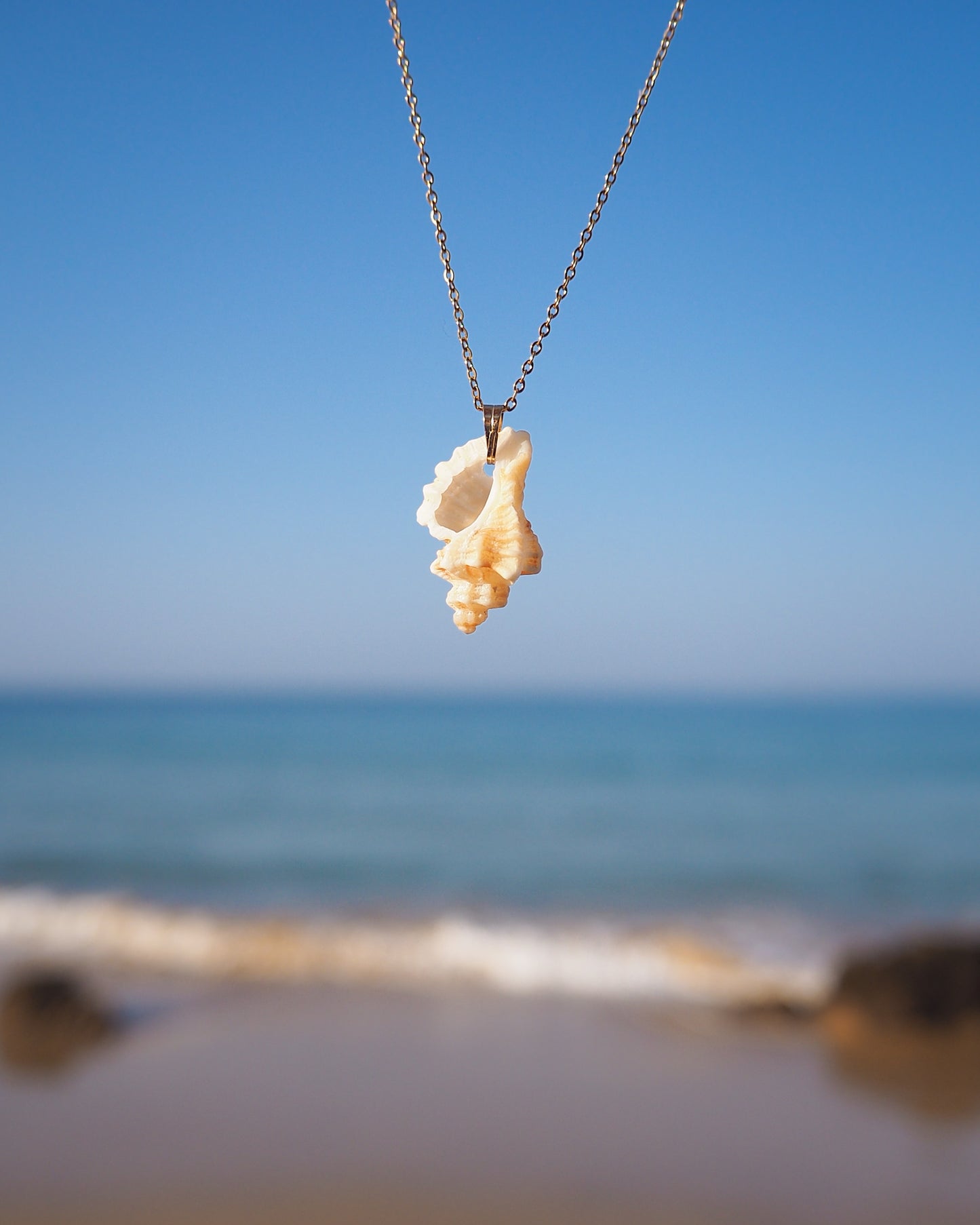 Close up of Tiny Light Sting Winkle Shell Necklace with blue ocean background, Shell handpicked from Portugal, Made with 18k gold stainless steel