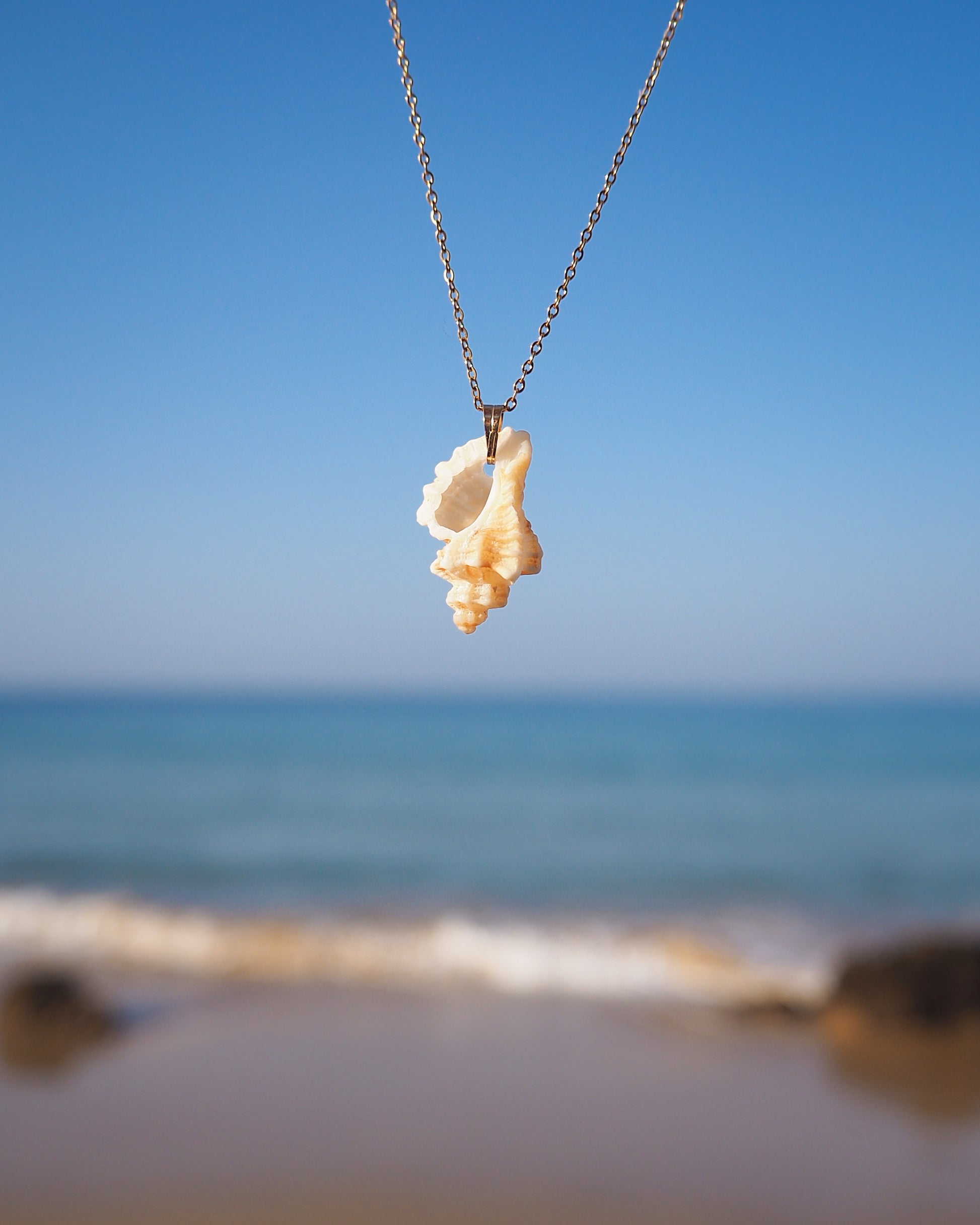 Close up of Tiny Light Sting Winkle Shell Necklace with blue ocean background, Shell handpicked from Portugal, Made with 18k gold stainless steel