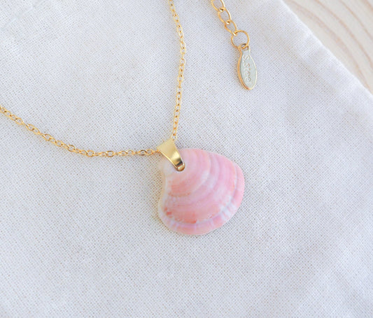 Gold Tiny Pink Venus Shell Necklace on display, seabylou
