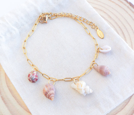 Tiny Shells Gold Charm Bracelet, Mediterranean Cone, European Cowrie, Sting Winkle, European Painted Topshell, Sea by Lou collection, Seashell jewelry, ocean-inspired jewelry Portugal
