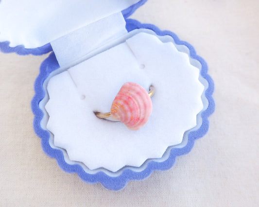 Tiny Soft Pink Venus Shell Gold Ring displayed in seashell jewelry box , Pink Tiny Shell from Portugal, Summer Jewelry, Sea by Lou