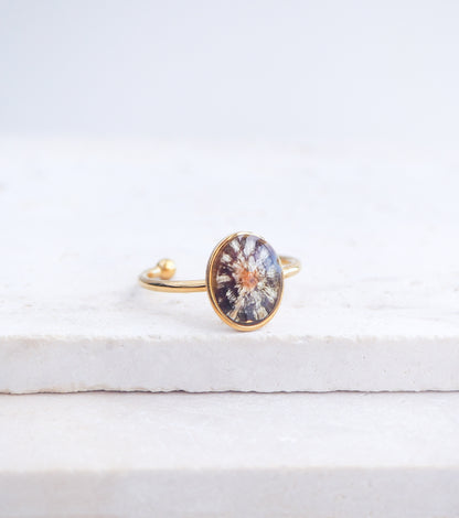Gold Tiny Zebra Limpet Shell Ring displayed on stone, Limpet Shell Bezel Ring, 18k gold stainless steel, handpicked limpet from the beach of Portugal, Black-Footed Limpet Shell