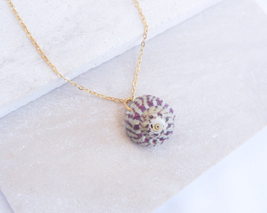 Fuchsia Green Striped Top Shell Necklace on stone display side view, with gold stainless steel chain. Real shell necklace from Portugal.