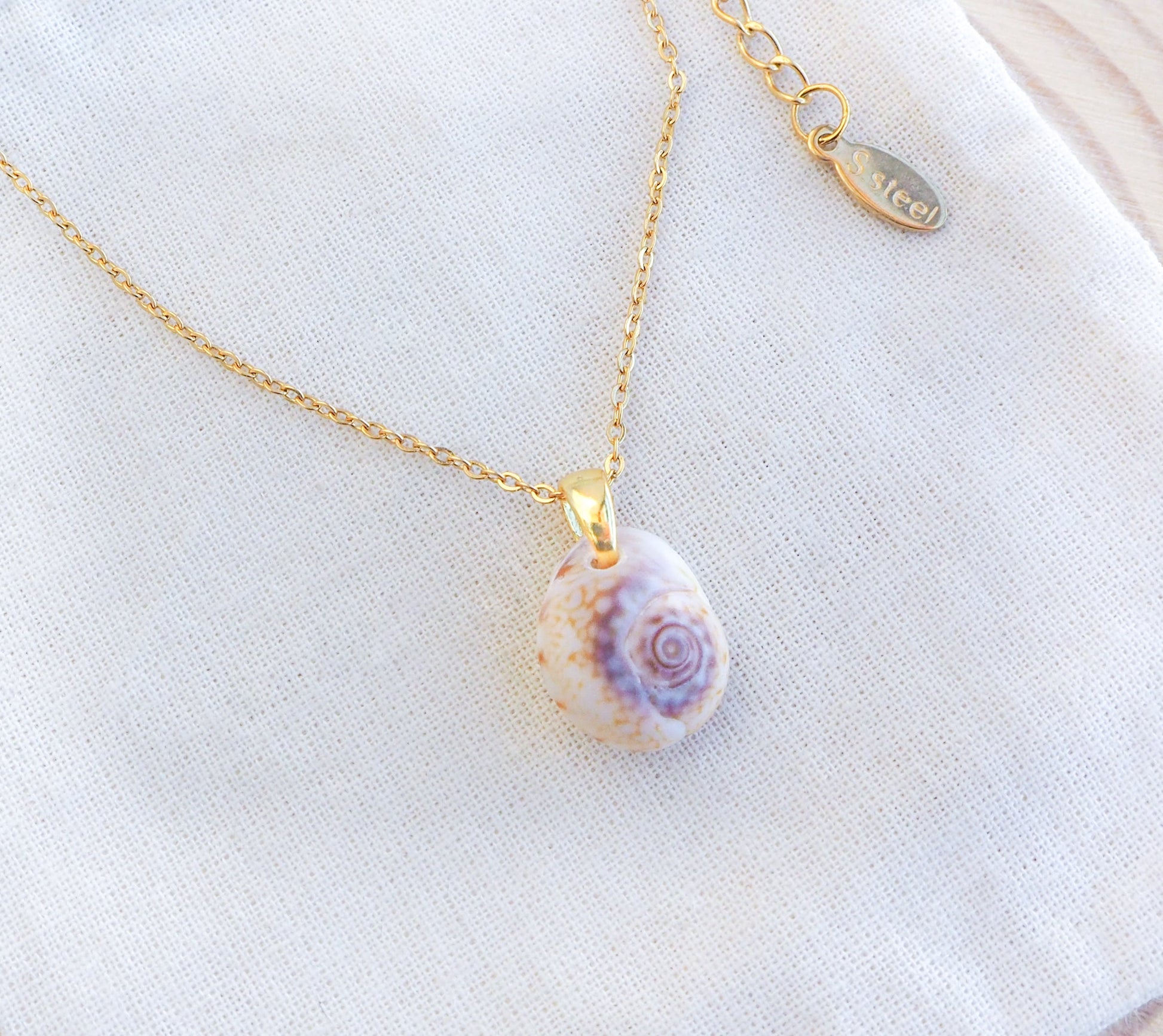 Gold Tritia Neritea Shell Necklace on display