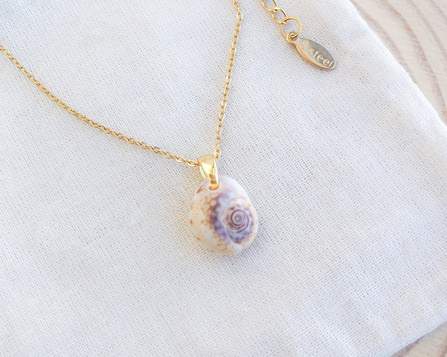 Side view of Tritia Neritea Shell Gold Necklace on display, handpicked shell from Portugal. Made with 18k gold stainless steel clasp and chain. Nassa mud shell from Portugal.
