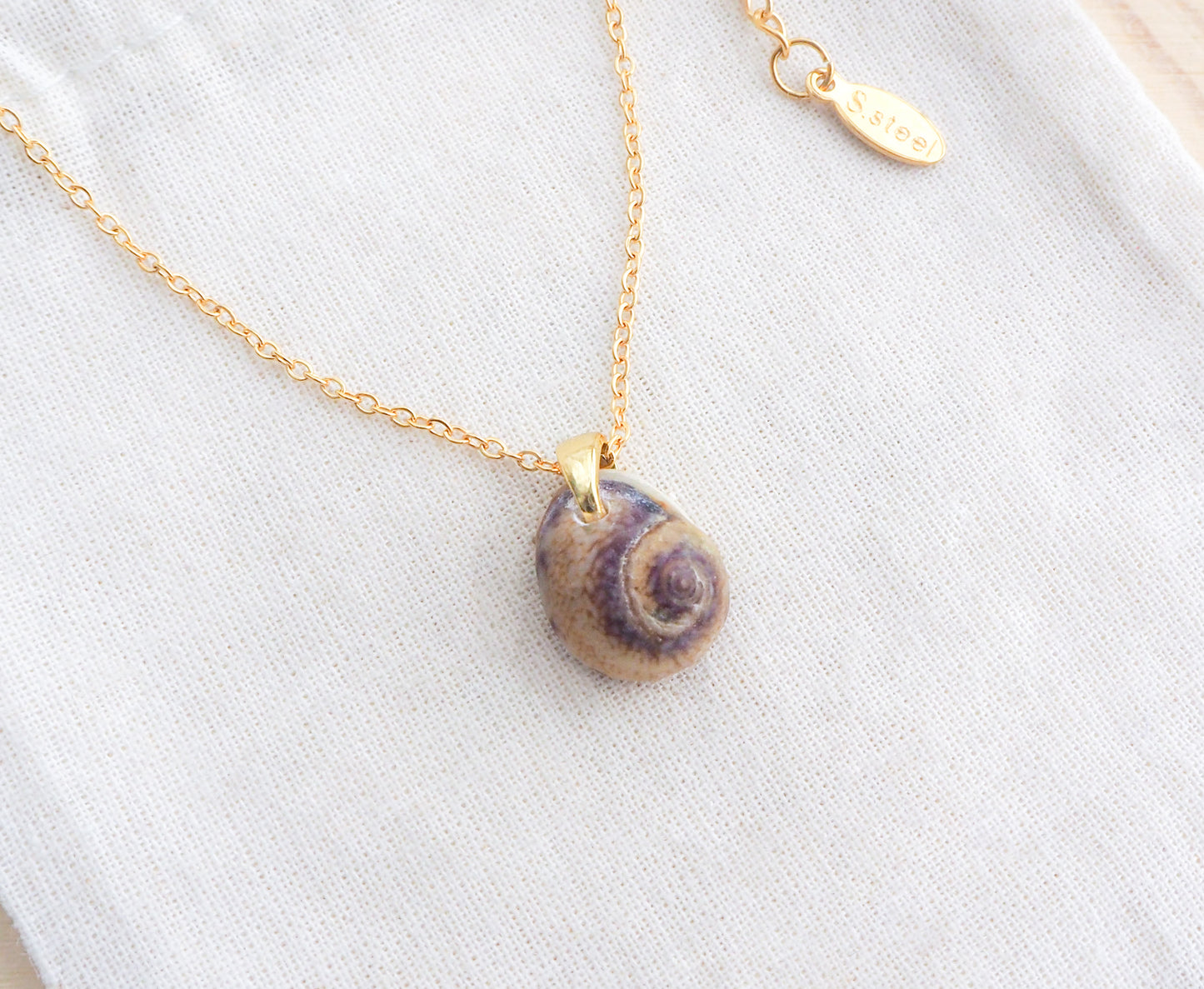 Gold Tritia Neritea Shell Necklace II displayed on stone, handpicked tritia neritea shell from Portugal, 18k gold stainless steel necklace chain 