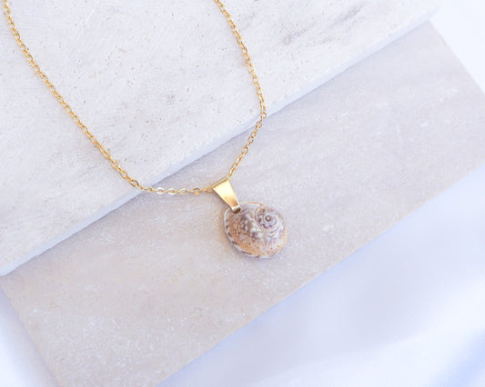 Gold Tritia Neritea Shell Gold Necklace displayed on stone, handpicked tritia neritea shell from Portugal, 18k gold stainless steel necklace chain 