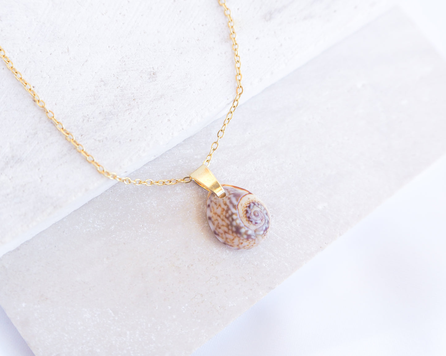 Gold Tritia Neritea Shell Necklace displayed on stone, handpicked tritia neritea shell from Portugal, 18k gold stainless steel necklace chain 