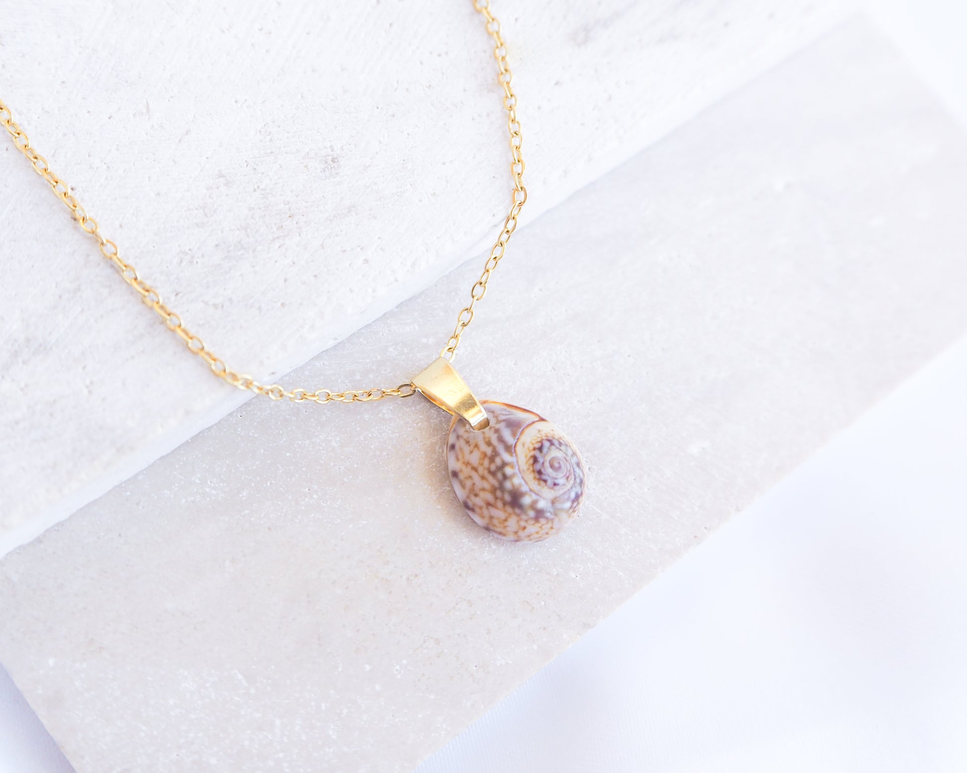 Gold Tritia Neritea Shell Necklace displayed on stone, handpicked tritia neritea shell from Portugal, 18k gold stainless steel necklace chain 