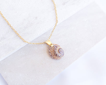 Gold Tritia Neritea Shell Necklace displayed on stone, handpicked tritia neritea shell from Portugal, 18k gold stainless steel necklace chain 
