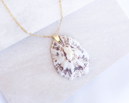 Close up White Brown Mediterranean Limpet Shell Gold Necklace on stone 