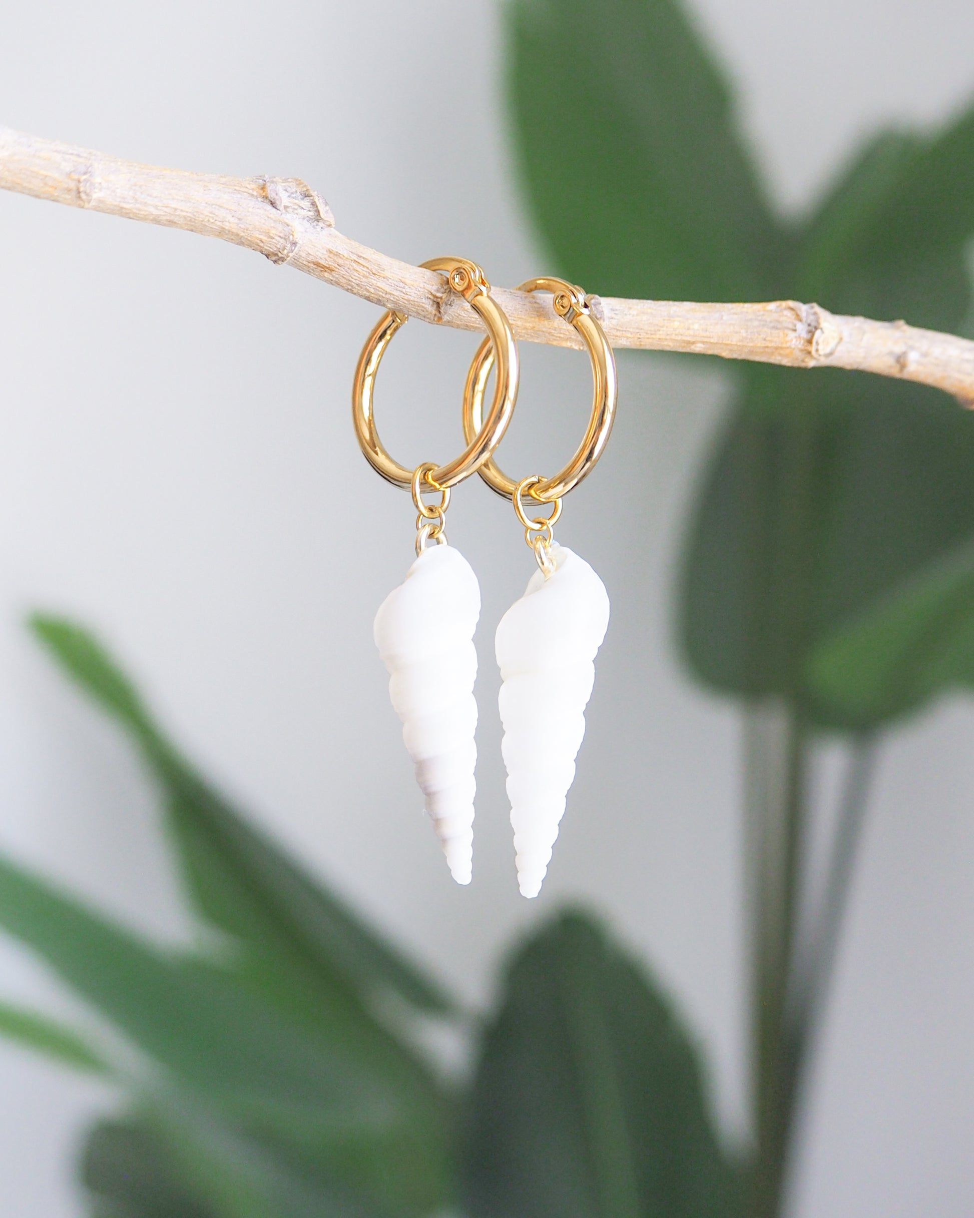 Front view of White Common Tower Shell Gold Earring Hoops with green palm tree background, handpicked white tower shells from Portugal, 18k gold stainless steel shell earring hoops, seabylou 