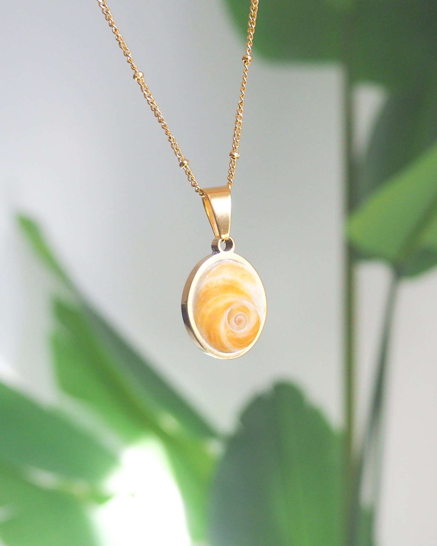 Gold Yellow Orange Shiva Eye, Eye of Saint Lucia Gold Necklace with plant background, 18k gold stainless steel shiva Yellow Orange eye pendant necklace, Saint Lucy Eye, operculum pendant