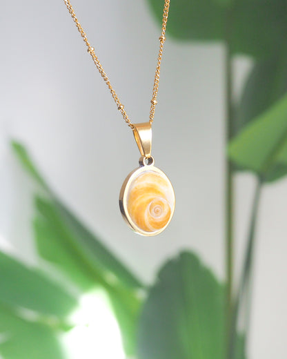 Gold Yellow Orange Shiva Eye, Eye of Saint Lucia Gold Necklace with plant background, 18k gold stainless steel shiva Yellow Orange eye pendant necklace, Saint Lucy Eye, operculum pendant