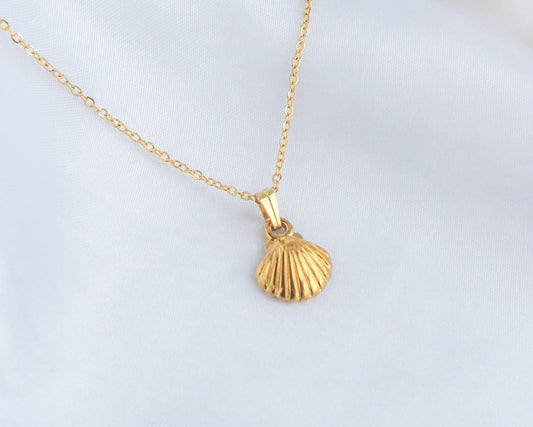Gold tiny shell pendant necklace detailed view