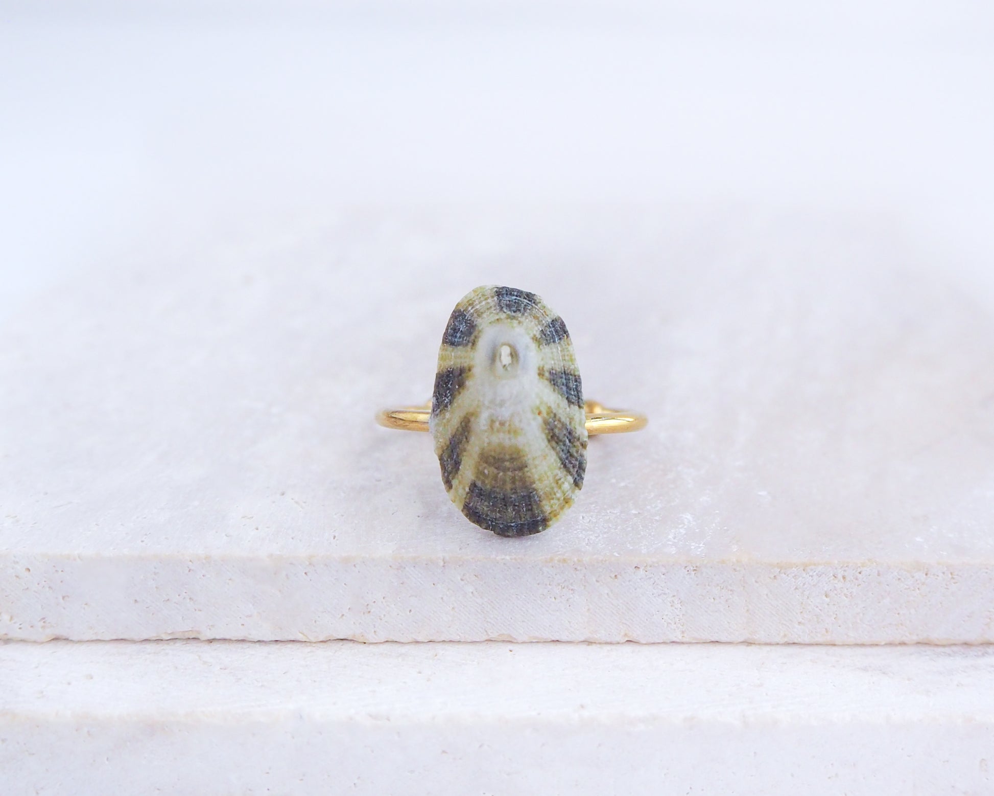 Green Limpet Shell Ring on display, Common Keyhole Limpet Shell Ring from Portugal