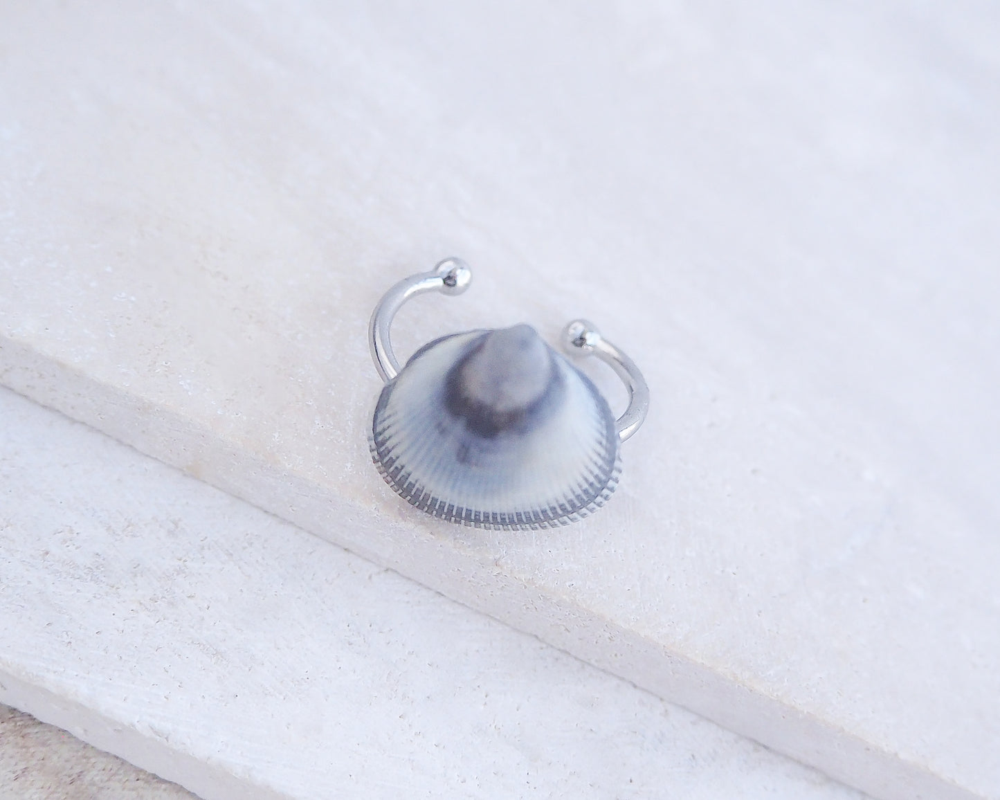 Side view of Grey Blue Cockle Shell Silver Ring on stone displayed, Adjustable stainless steel ring with a handpicked Norwegian Egg Cockle Shell from Portugal, Tiny Blue Grey Seashell Ring, Beach Girl Jewelry