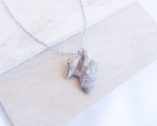 Grey Pelican Foot Shell Silver Necklace, Real Grey Shell from Algarve, Portugal, Silver Stainless Steel chain