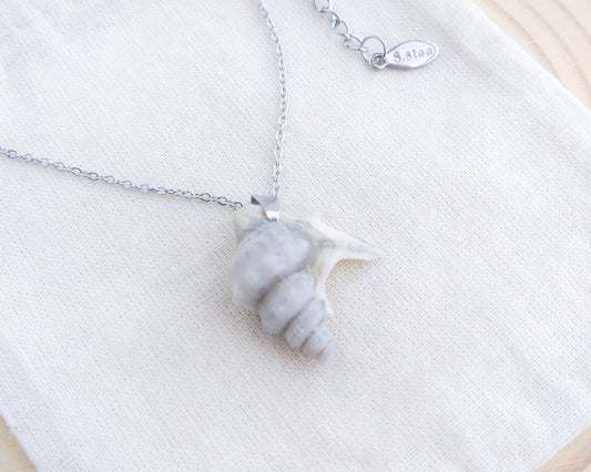 Grey Pelican Foot Shell Silver Necklace, Real Grey Shell from Algarve, Portugal, Stainless Steel chain