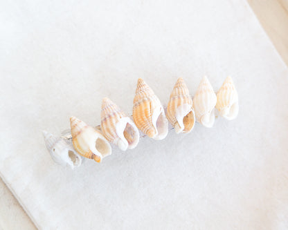 Light Netted Dog Whelk Shells Hair Clip Barrette on displayed, Boho Seashell Beach Clip from Portugal, Handpicked Real Shells, Seashell Hair Decoration, Bohemian Seashell Wedding Hair accessories, Coastal Christmas gift, Beach Wedding Hair