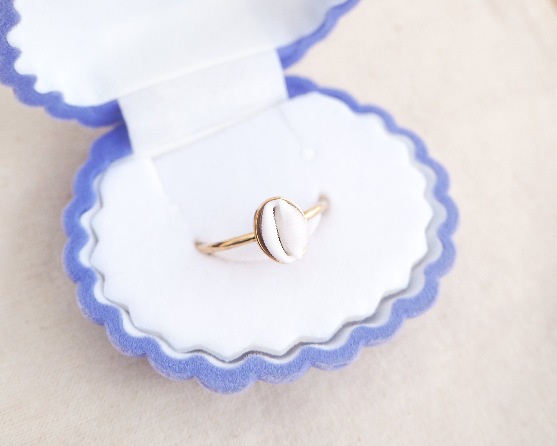 Close up front view of European Cowrie Shell Gold Ring from Portugal in jewelry box, Handpicked Spotted Cowrie Shell from Portugal, Gold Stainless Steel ring with tiny cowrie shell, Gift for beach girlsv